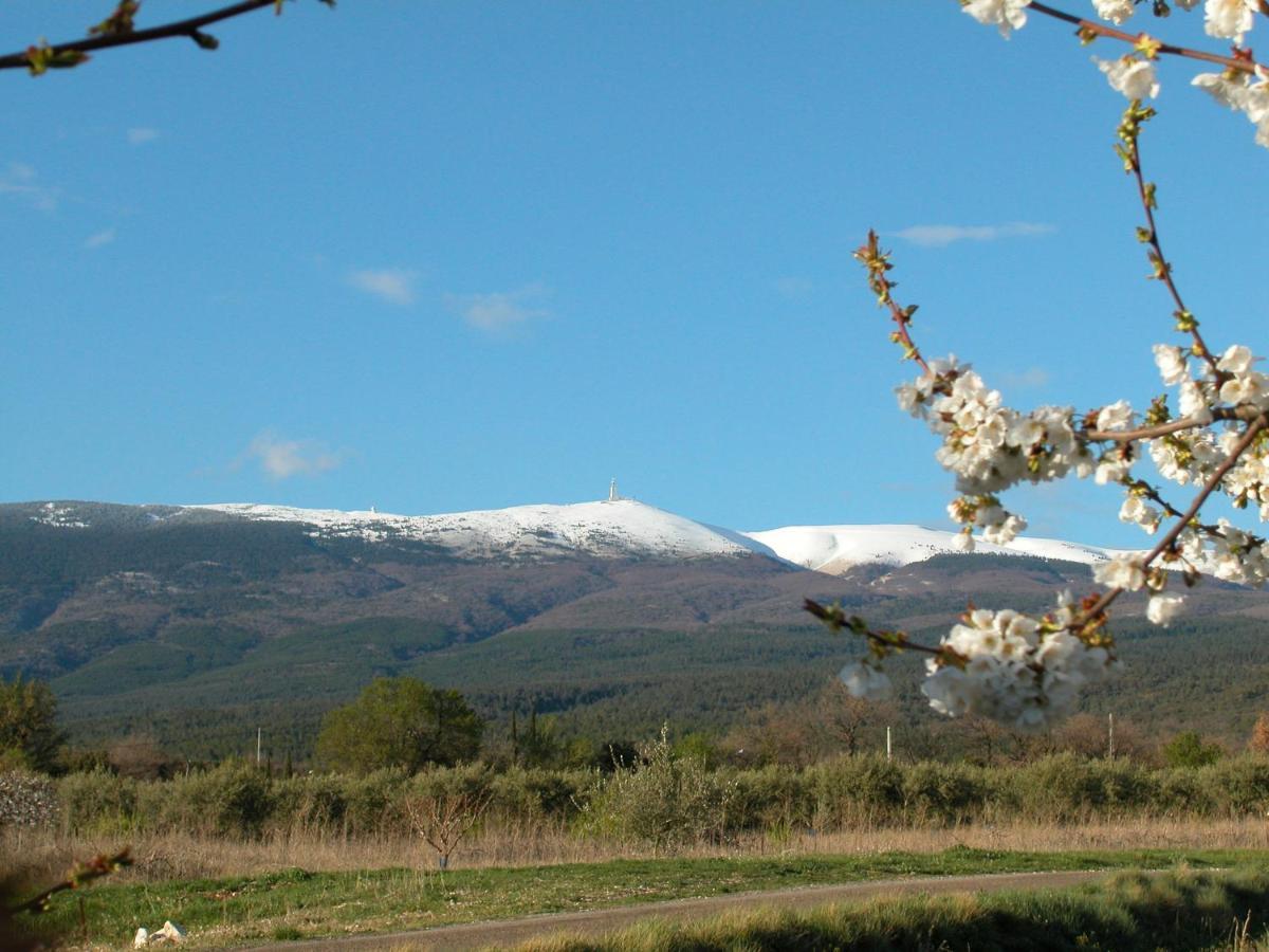 Mas Boudeissoun - Coeur De Cerise - Baignade A 600 M Βίλα Mormoiron Εξωτερικό φωτογραφία